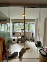 Blk 501D Montreal Spring (Sembawang), HDB Executive #560352091